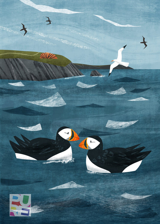 Puffins - Bird Illustration - by Holly Astle for Pure Art Licensing. A Great Anniversary Card design