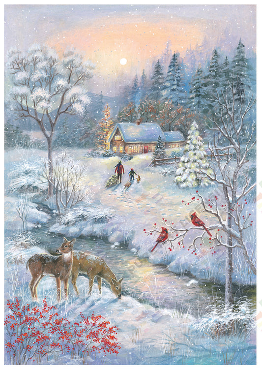 Wild Winter Wonderland - Snow Scene Christmas Illustration by Ally Marie for Pure Art Licensing Agency. 