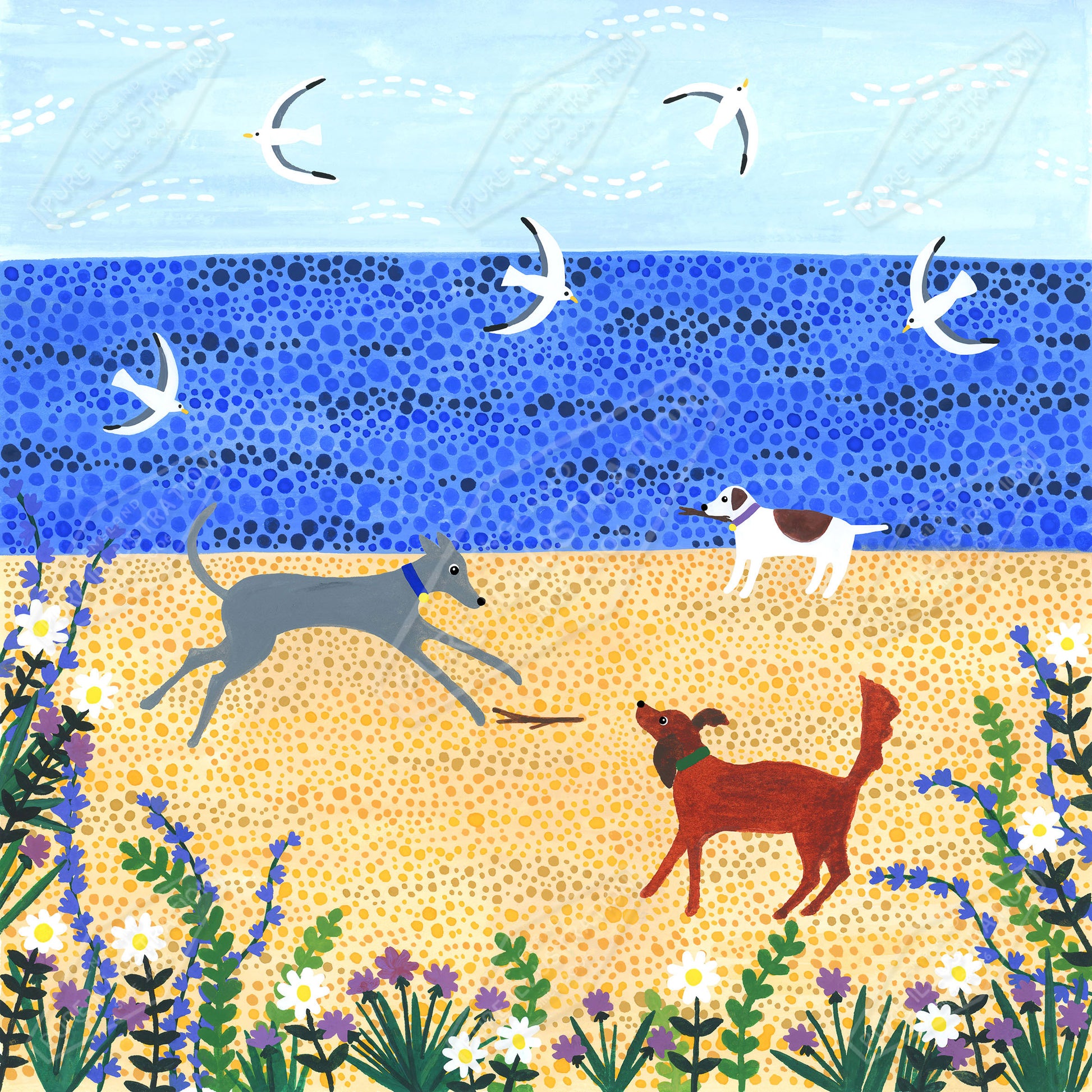 00035665SSN- Sian Summerhayes is represented by Pure Art Licensing Agency - Everyday Greeting Card Design