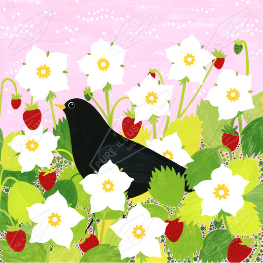 00035666SSN- Sian Summerhayes is represented by Pure Art Licensing Agency - Everyday Greeting Card Design