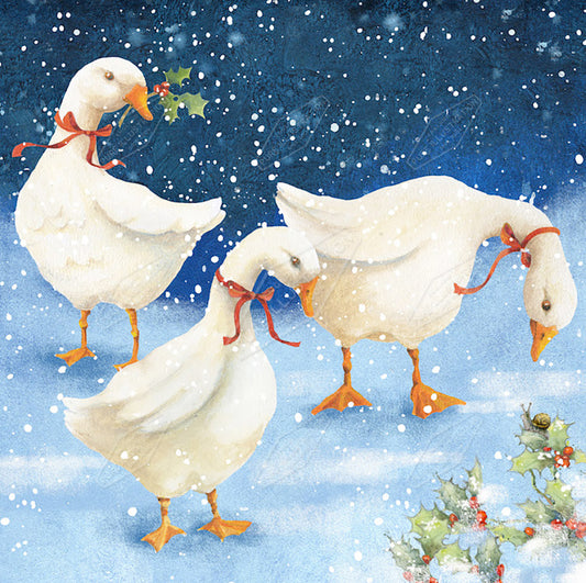 00027169JPA- Jan Pashley is represented by Pure Art Licensing Agency - Christmas Greeting Card Design