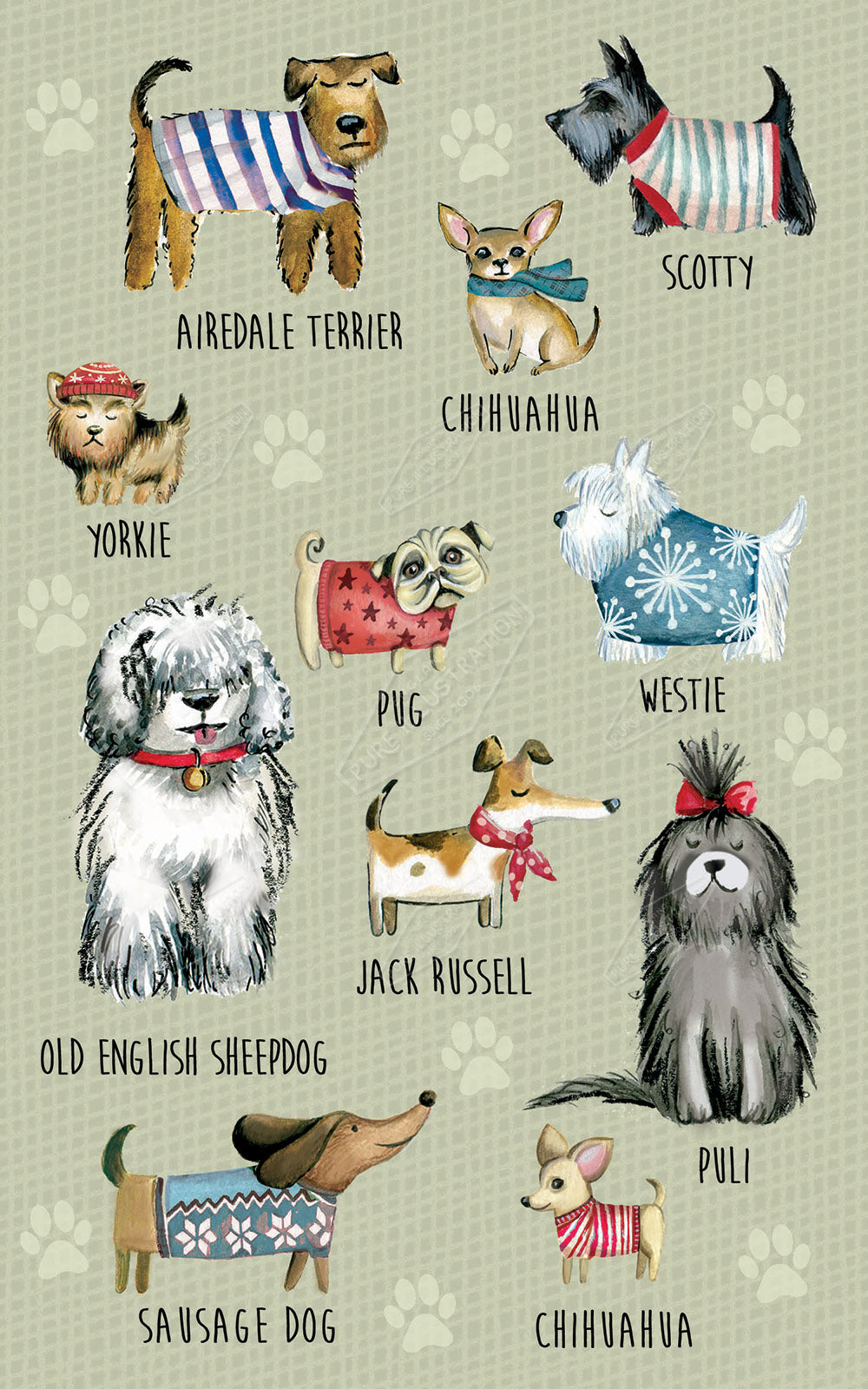 00028014DEVa Dog Breed Illustration by Deva Evans - Pure art Licensing & Surface Design Studio