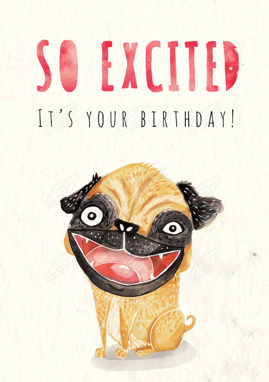 00028561EST- Emily Stalley is represented by Pure Art Licensing Agency - Birthday Greeting Card Design