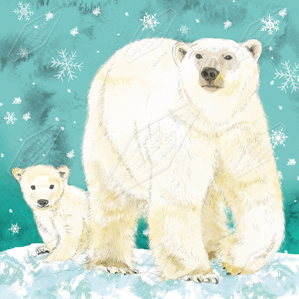 Polar Bears Illustration by Victoria Marks for Pure Art Licensing Agency & Surface Design Studio