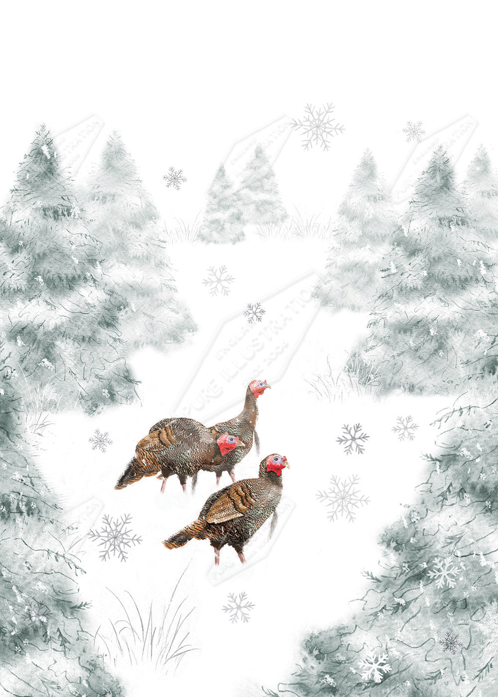 Wild Turkeys Design by Victoria Marks for Pure Art Licensing Agency & Surface Design Studio