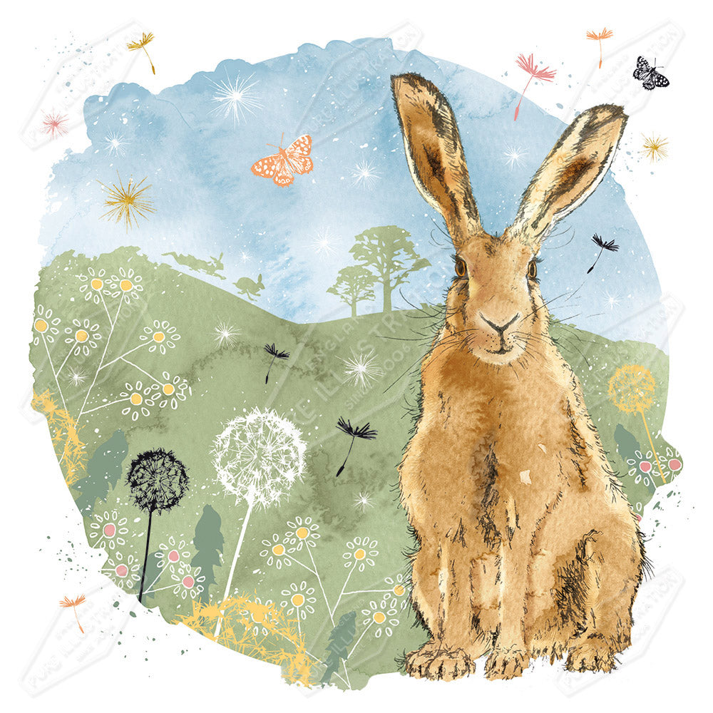 Country Hare Illustration by Victoria Marks for Pure Art Licensing Agency & Surface Design Studio