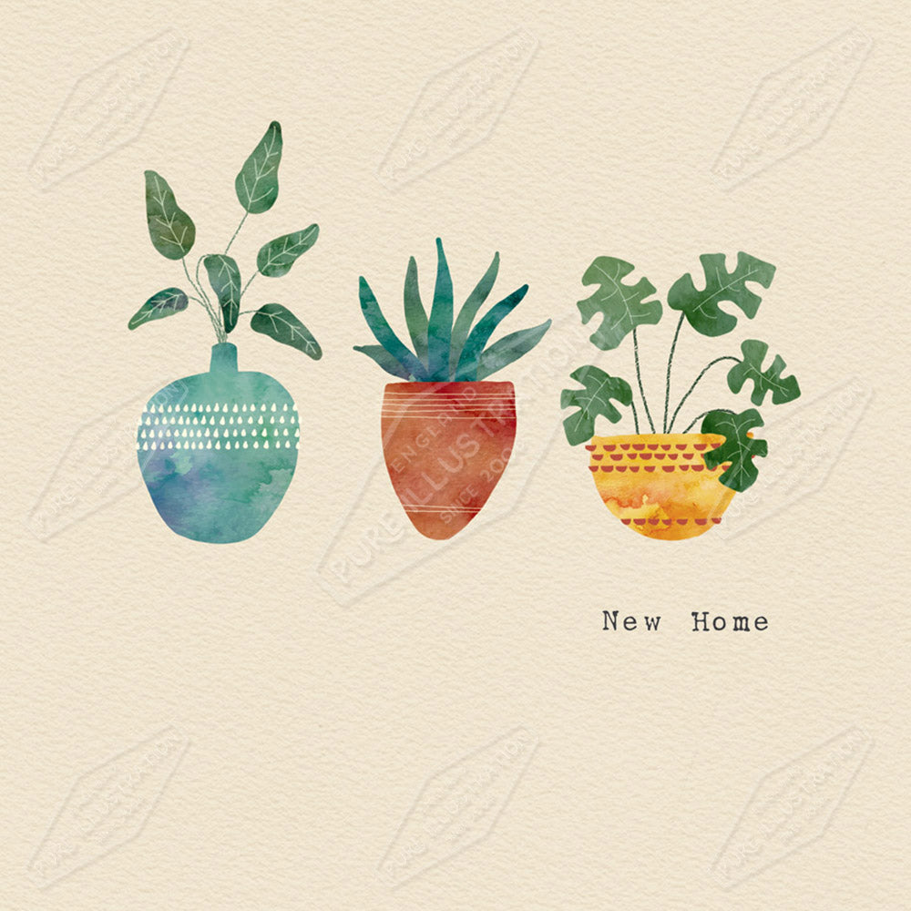 New Home Houseplants Greeting Card Design by Cory Reid - Pure Art Licensing Agency & Surface Design Studio
