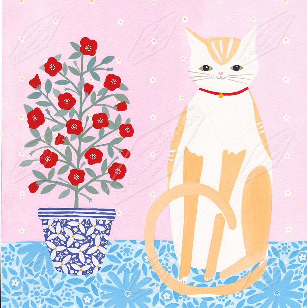 00034776SSN- Sian Summerhayes is represented by Pure Art Licensing Agency - Everyday Greeting Card Design