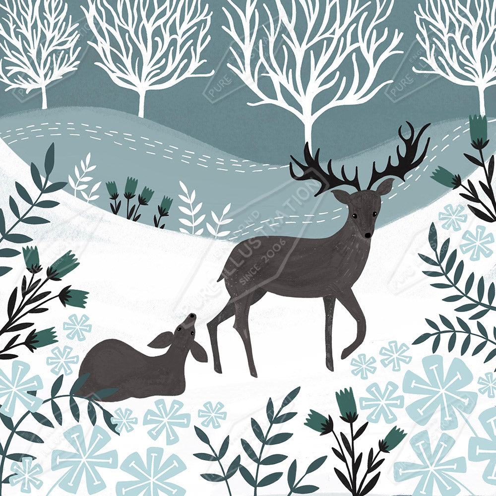 Country Christmas Deer Illustration by Sian Summerhayes for Pure Art Licensing & Surface Design Studio